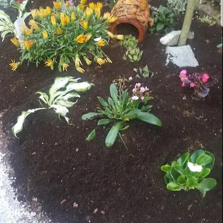 Vikendica Vikendica Ahatovici 2 *