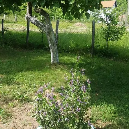 Vikendica Ahatovici 2