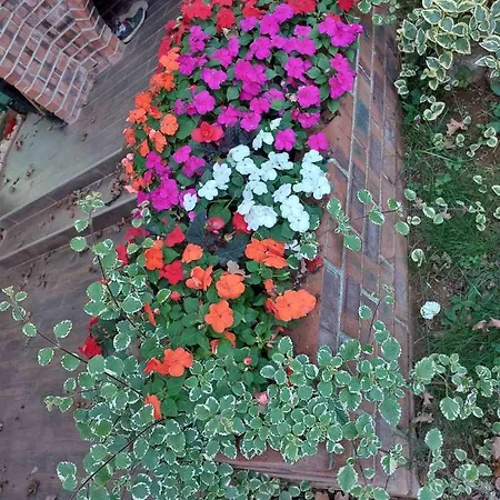 Casa vacanze Vikendica Ahatovici 2 *