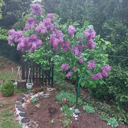 Vikendica Vikendica Ahatovici 2 Sarajevo